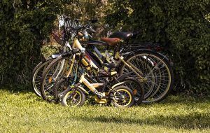 Ciclismo en familia