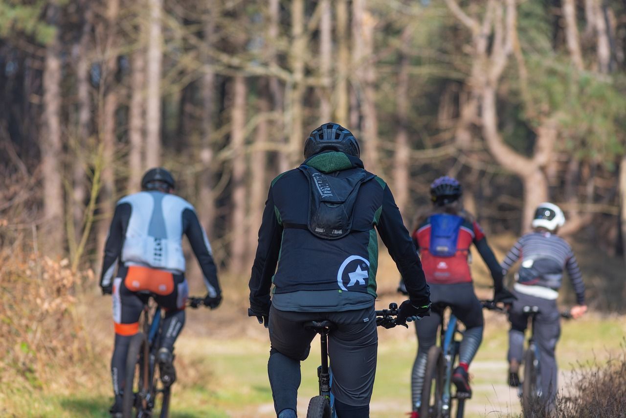 Mejores rutas de ciclismo en la naturaleza